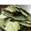 Dehydrated Dried Ad Air Dry Bay Leaf, Pelargonium, Bay Leaves, Myrcia